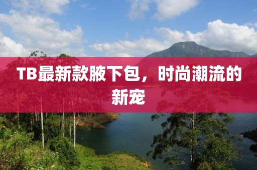 TB最新款腋下包，时尚潮流的新宠