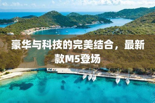 豪华与科技的完美结合，最新款M5登场