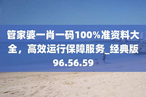 管家婆一肖一码100%准资料大全，高效运行保障服务_经典版96.56.59