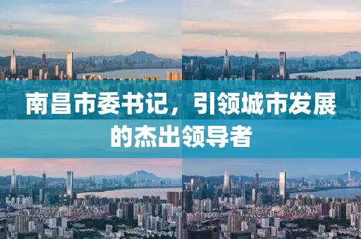 南昌市委书记，引领城市发展的杰出领导者