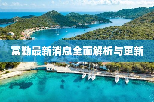 富勤最新消息全面解析与更新