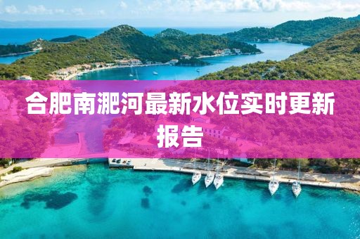 合肥南淝河最新水位实时更新报告