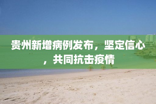 贵州新增病例发布，坚定信心，共同抗击疫情
