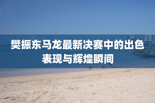 樊振东马龙最新决赛中的出色表现与辉煌瞬间