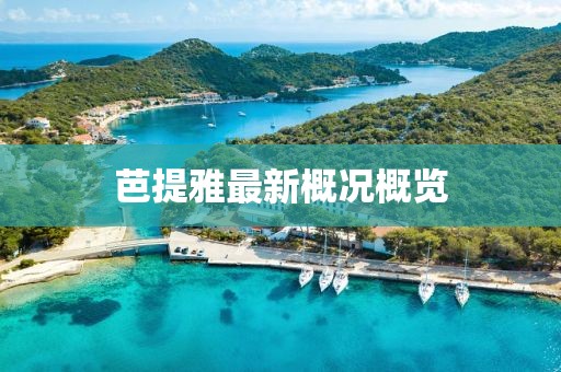 芭提雅最新概况概览