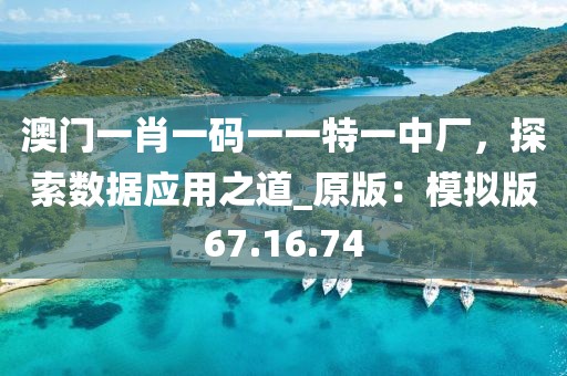 澳门一肖一码一一特一中厂，探索数据应用之道_原版：模拟版67.16.74