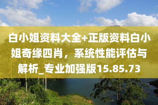 白小姐资料大全+正版资料白小姐奇缘四肖，系统性能评估与解析_专业加强版15.85.73