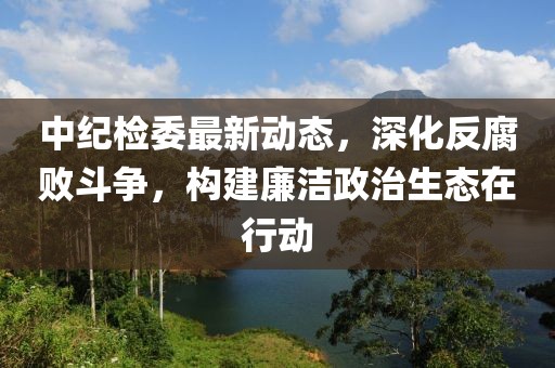 中纪检委最新动态，深化反腐败斗争，构建廉洁政治生态在行动