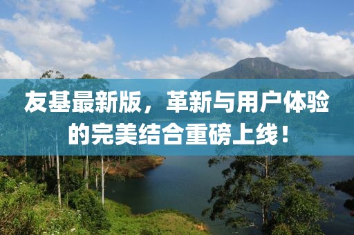 友基最新版，革新与用户体验的完美结合重磅上线！