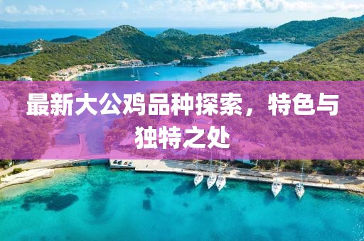 最新大公鸡品种探索，特色与独特之处