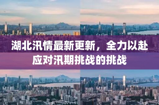 湖北汛情最新更新，全力以赴应对汛期挑战的挑战