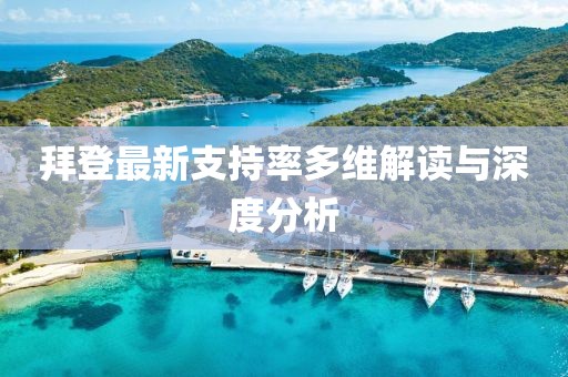 拜登最新支持率多维解读与深度分析