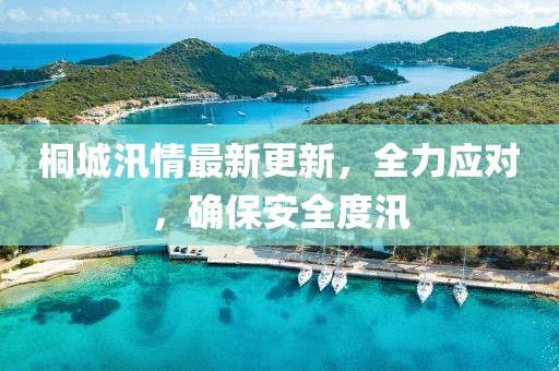桐城汛情最新更新，全力应对，确保安全度汛