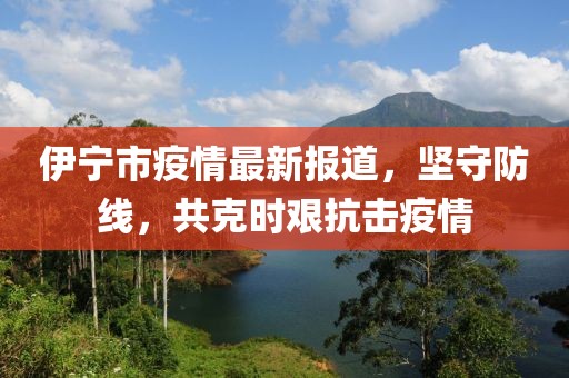 伊宁市疫情最新报道，坚守防线，共克时艰抗击疫情