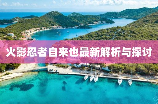 火影忍者自来也最新解析与探讨