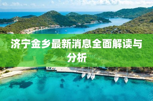 济宁金乡最新消息全面解读与分析