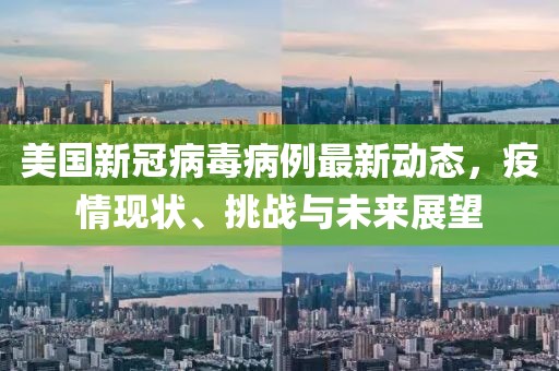 美国新冠病毒病例最新动态，疫情现状、挑战与未来展望