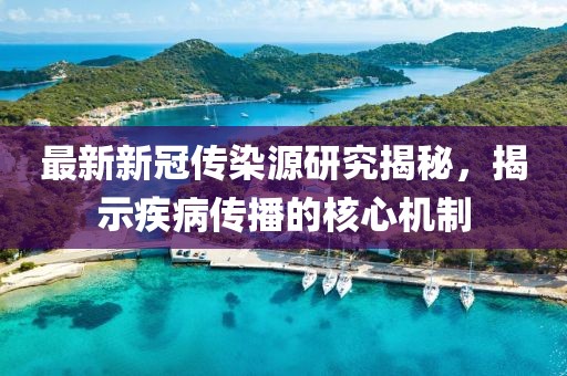 最新新冠传染源研究揭秘，揭示疾病传播的核心机制