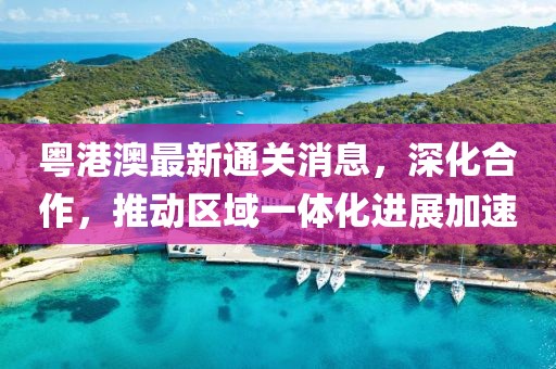 粤港澳最新通关消息，深化合作，推动区域一体化进展加速