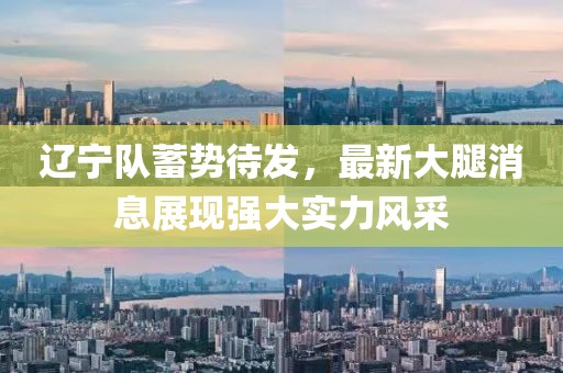 辽宁队蓄势待发，最新大腿消息展现强大实力风采