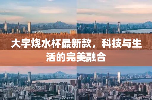 大宇烧水杯最新款，科技与生活的完美融合