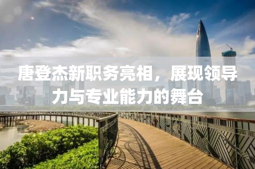 唐登杰新职务亮相，展现领导力与专业能力的舞台