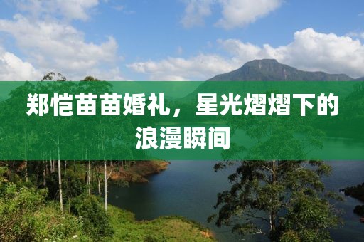 郑恺苗苗婚礼，星光熠熠下的浪漫瞬间