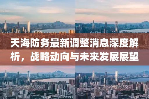 天海防务最新调整消息深度解析，战略动向与未来发展展望