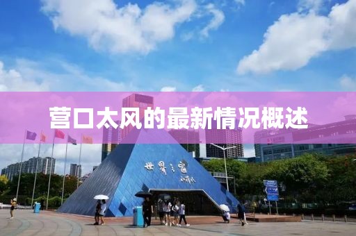 营口太风的最新情况概述