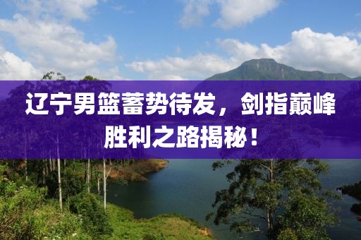 辽宁男篮蓄势待发，剑指巅峰胜利之路揭秘！