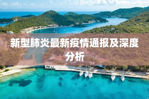新型肺炎最新疫情通报及深度分析