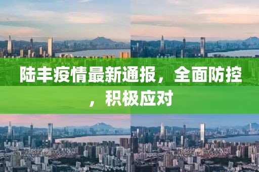 陆丰疫情最新通报，全面防控，积极应对