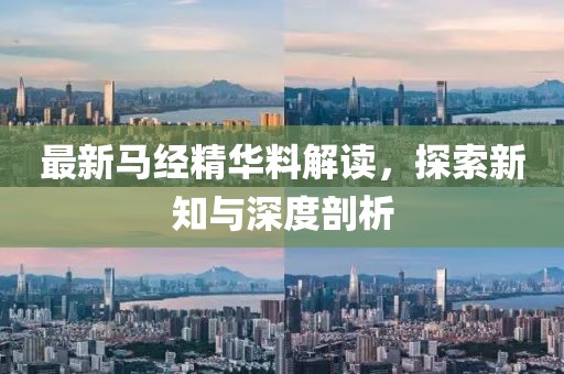 最新马经精华料解读，探索新知与深度剖析