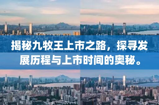 揭秘九牧王上市之路，探寻发展历程与上市时间的奥秘。