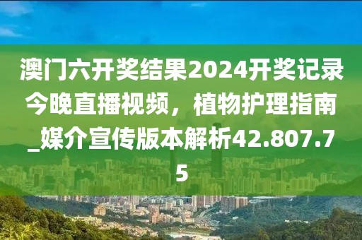 凌雪 第31页