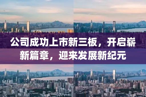 公司成功上市新三板，开启崭新篇章，迎来发展新纪元