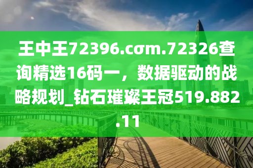 王中王72396.cσm.72326查询精选16码一，数据驱动的战略规划_钻石璀璨王冠519.882.11