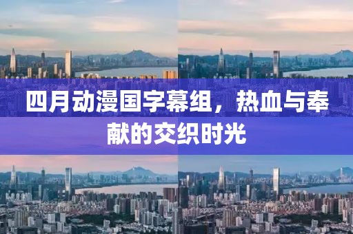 四月动漫国字幕组，热血与奉献的交织时光