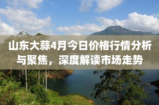 山东大蒜4月今日价格行情分析与聚焦，深度解读市场走势