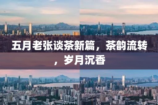 五月老张谈茶新篇，茶韵流转，岁月沉香