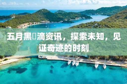 五月黑咲滴资讯，探索未知，见证奇迹的时刻