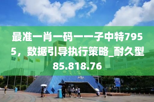 最准一肖一码一一子中特7955，数据引导执行策略_耐久型85.818.76