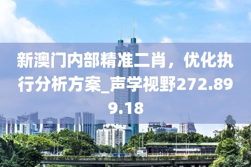 新澳门内部精准二肖，优化执行分析方案_声学视野272.899.18