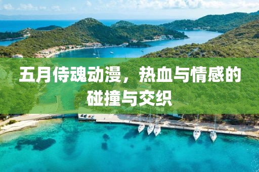 五月侍魂动漫，热血与情感的碰撞与交织
