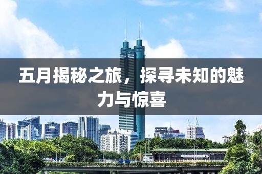 五月揭秘之旅，探寻未知的魅力与惊喜