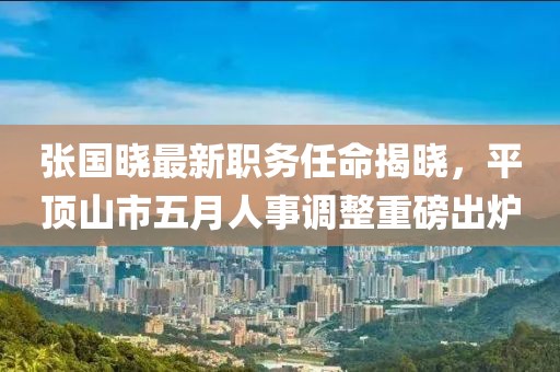 张国晓最新职务任命揭晓，平顶山市五月人事调整重磅出炉