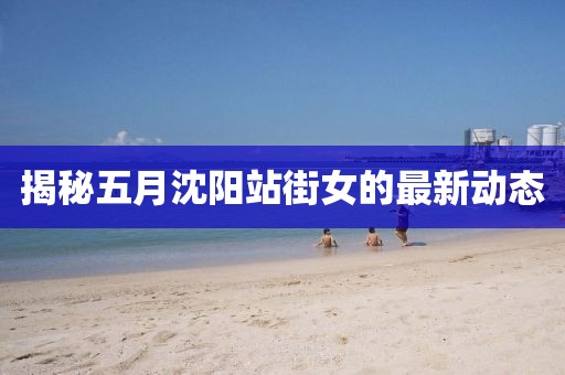 揭秘五月沈阳站街女的最新动态