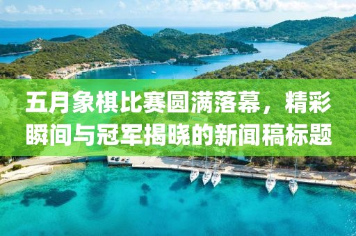 五月象棋比赛圆满落幕，精彩瞬间与冠军揭晓的新闻稿标题