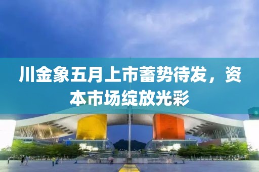 川金象五月上市蓄势待发，资本市场绽放光彩