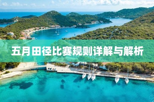 2025年5月12日 第6页